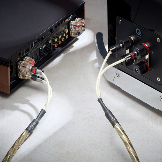 GOLD ANNIVERSARY XT - Cavo per diffusori