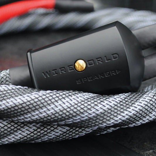 WIREWORLD PLATINUM ECLIPSE 10 - Cavo per diffusori Banana-Banana