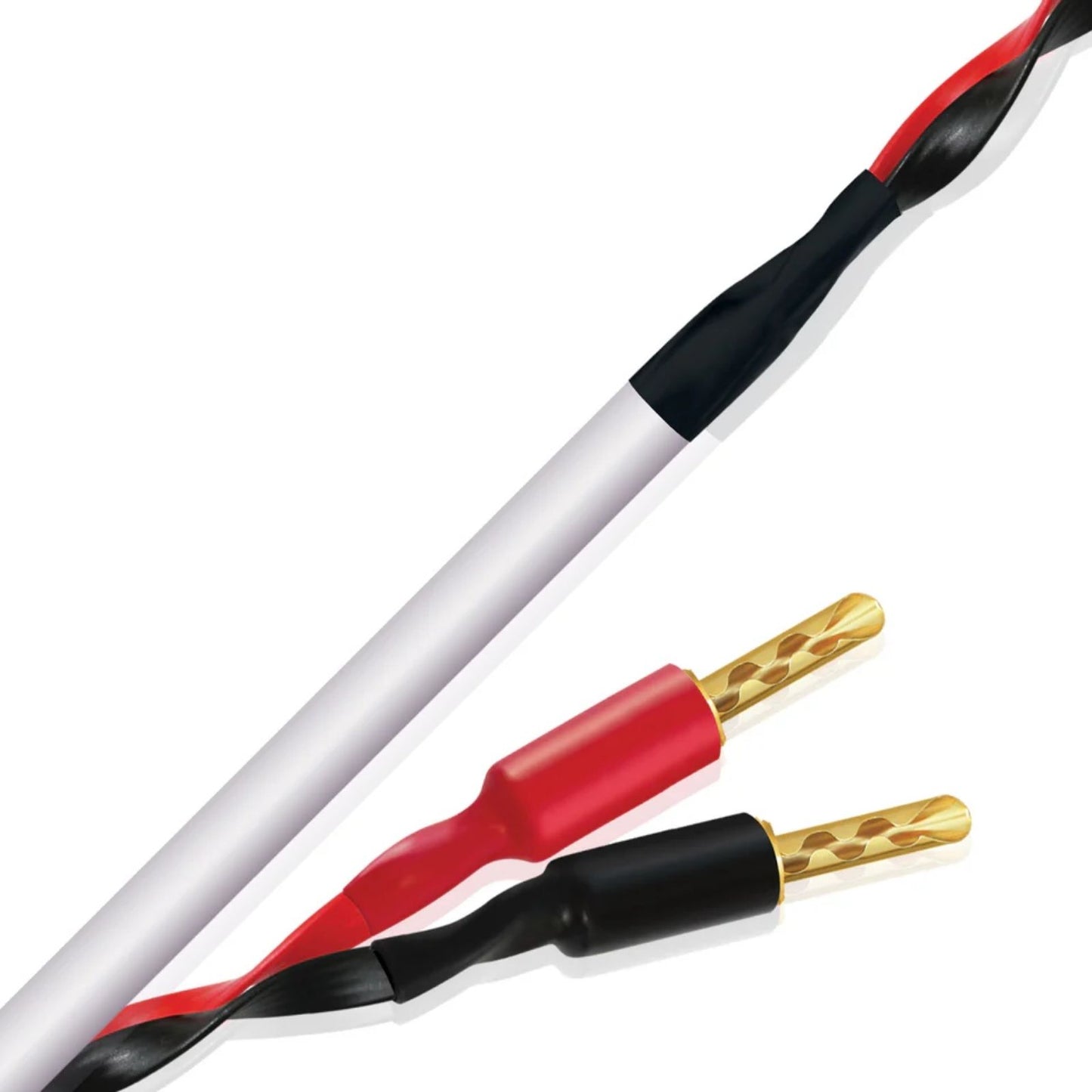 WIREWORLD STREAM 10 - Cavo per diffusori Banana-Banana