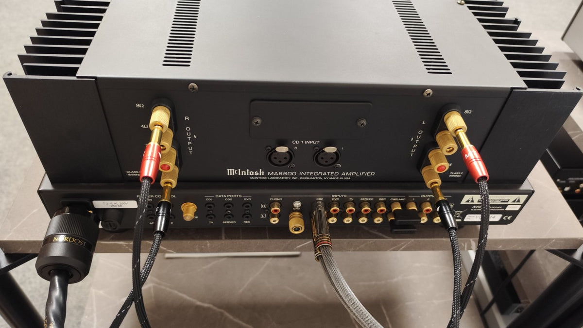 Mc Intosh - MA6600