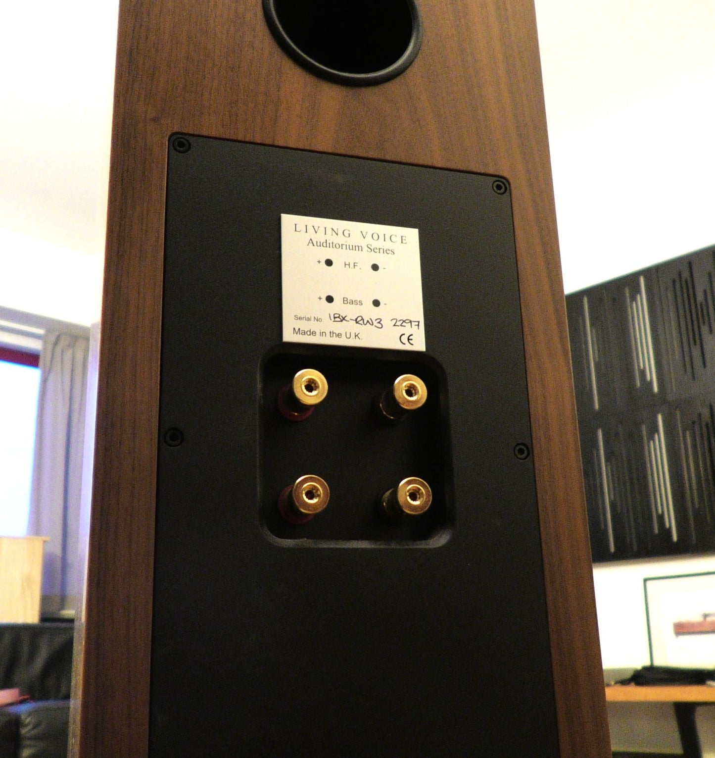 Living Voice - Auditorium IBX-RW3