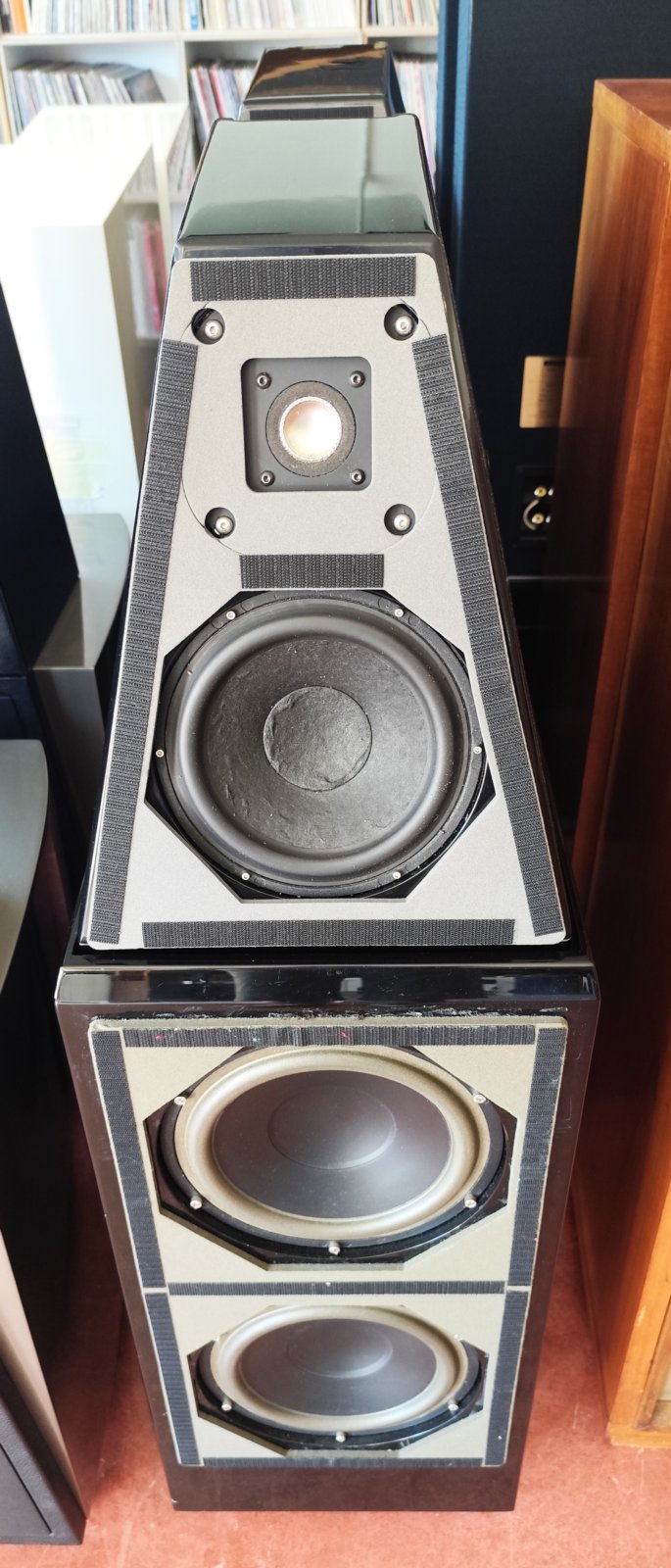 Wilson Audio Watt Puppy 6
