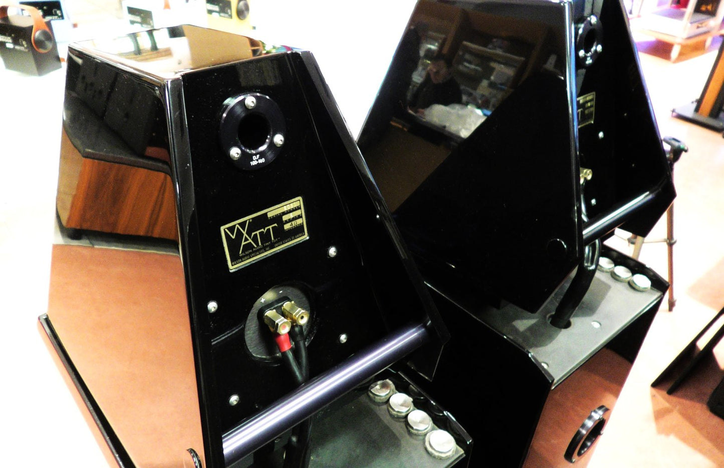 Wilson Audio Watt Puppy 6