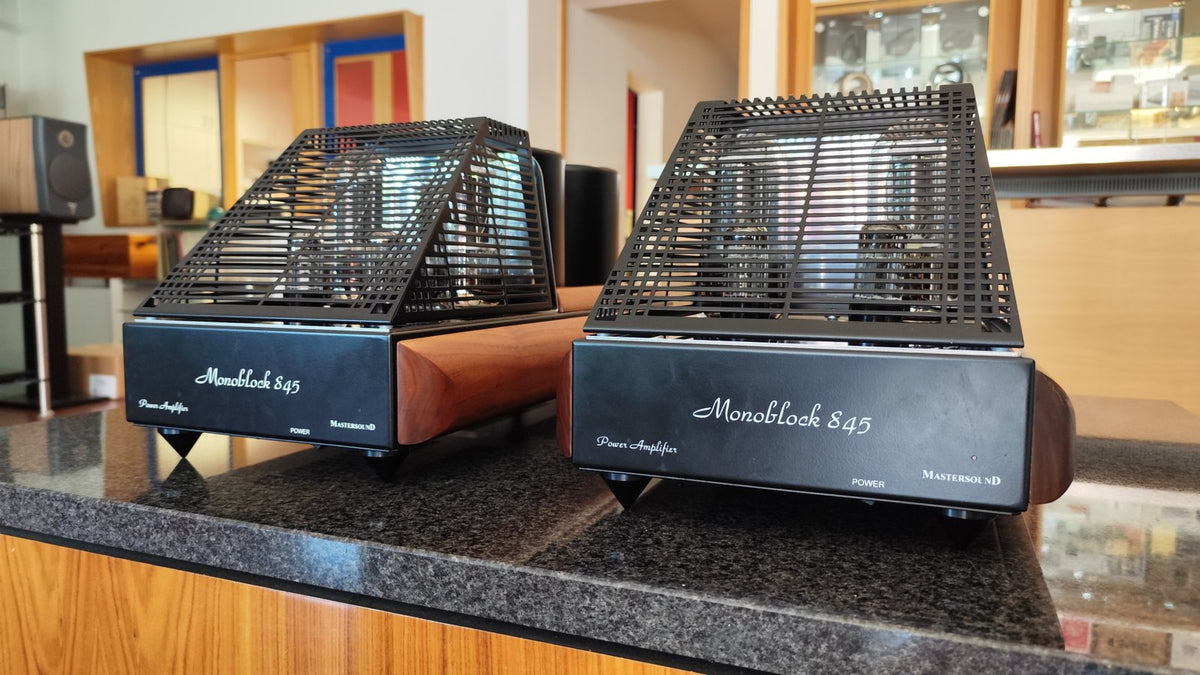 Mastersound Coppia finali Monoblock 845