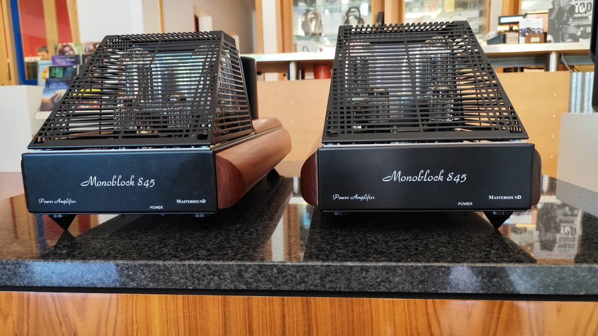 Mastersound Coppia finali Monoblock 845
