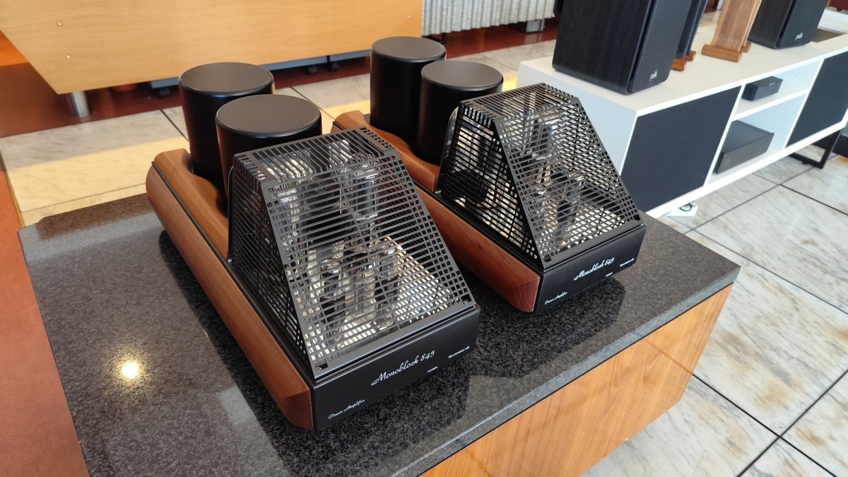 Mastersound Coppia finali Monoblock 845