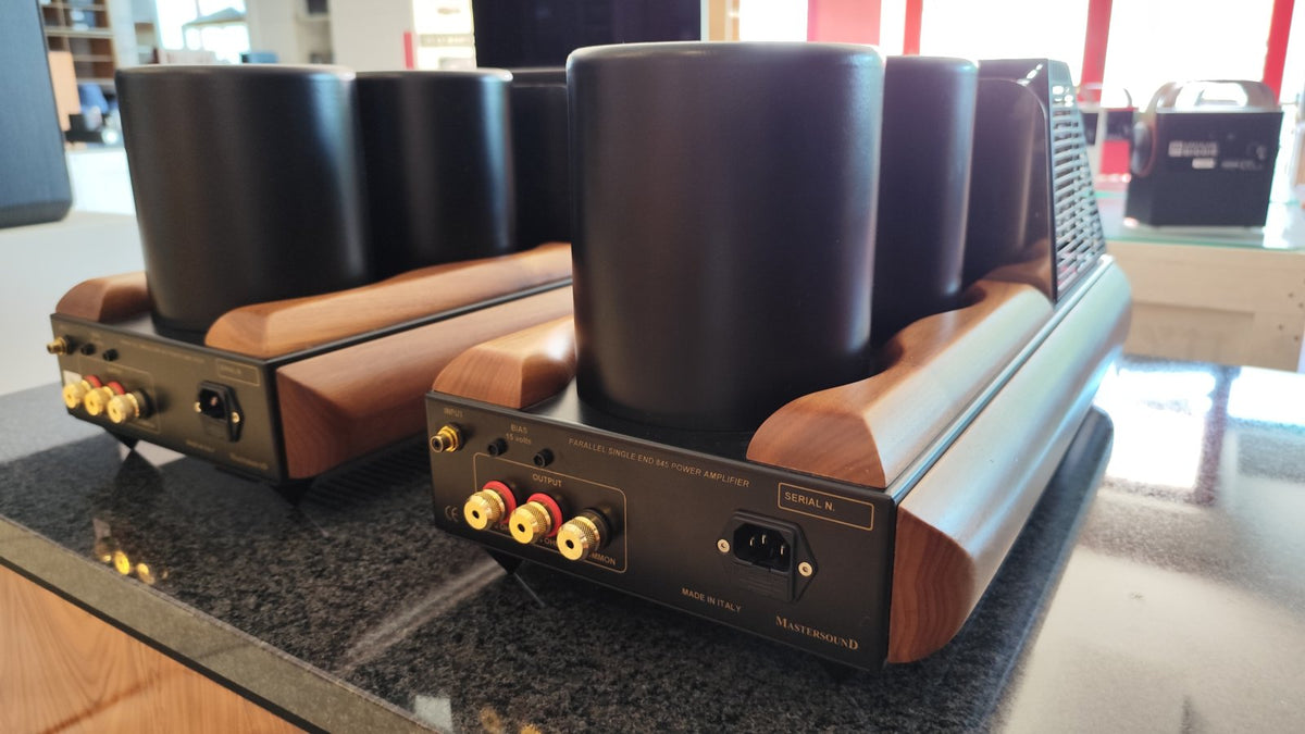 Mastersound Coppia finali Monoblock 845