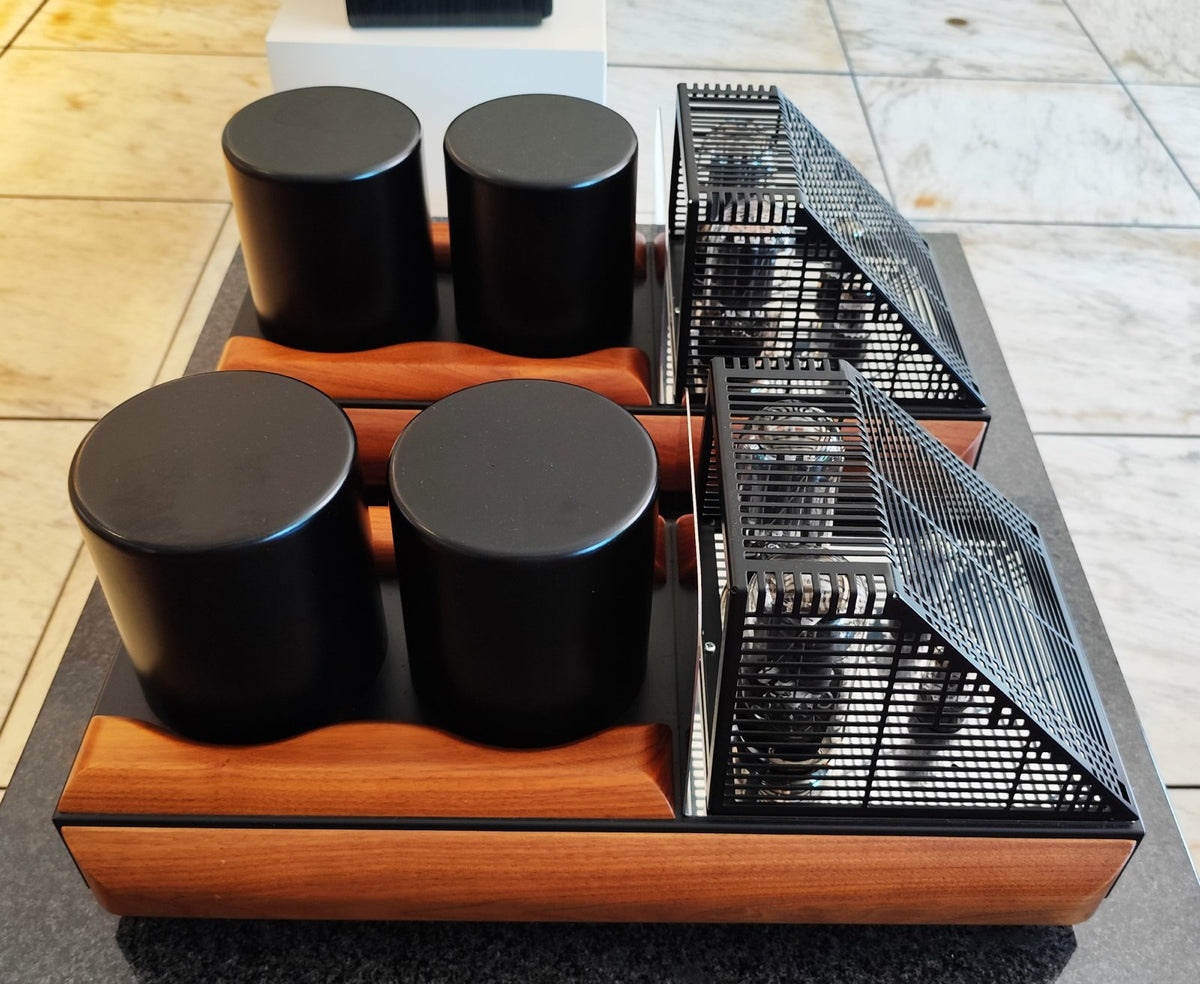 Mastersound Coppia finali Monoblock 845