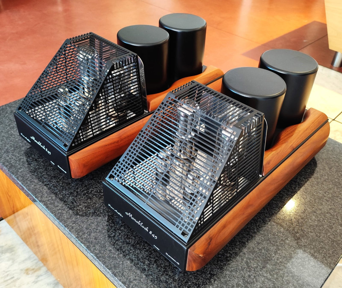 Mastersound Coppia finali Monoblock 845