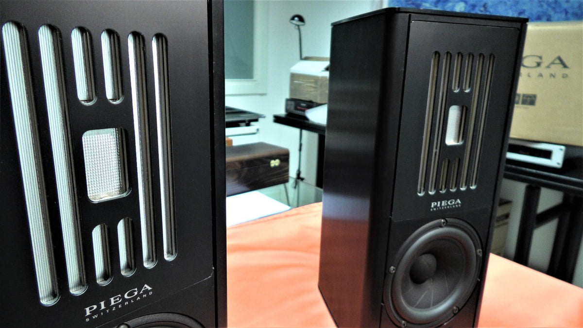 Piega Coax 10