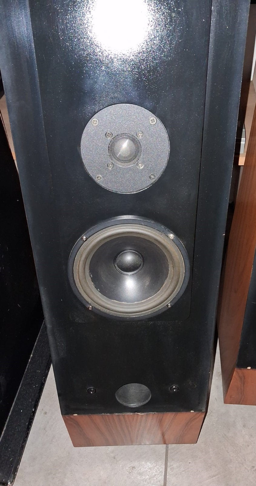 Thiel CS 1.2