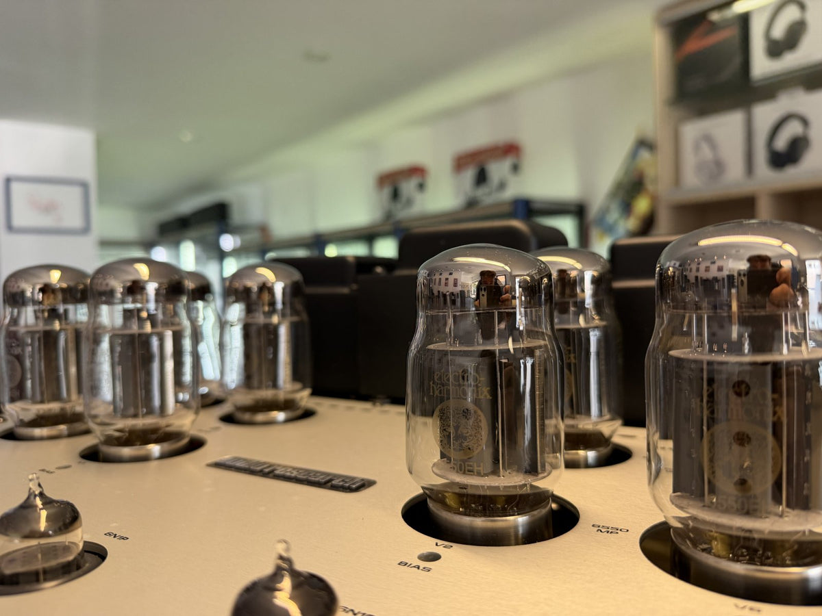 USATO: Amplificatore Audio Research VS110