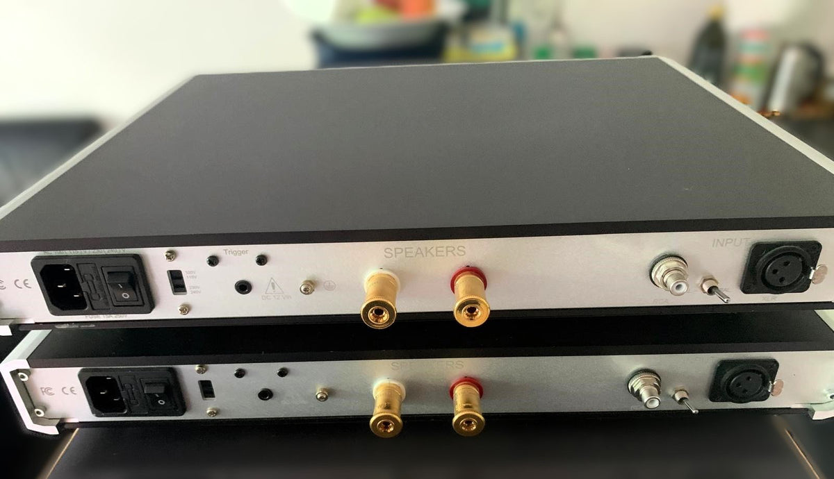 NuPrime Evolution One - coppia finali mono